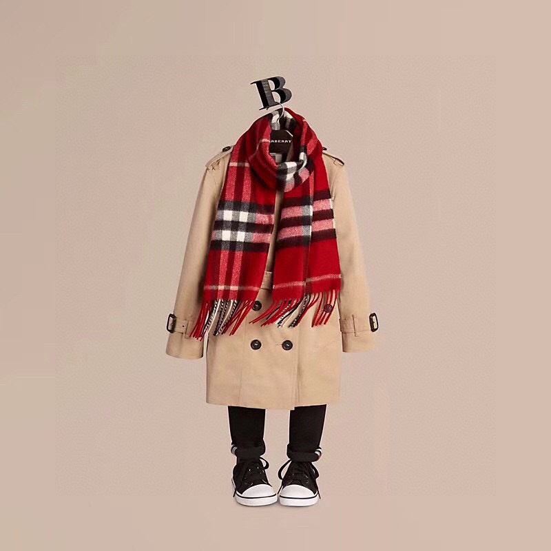 Burberry Scarf